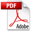 pdf file